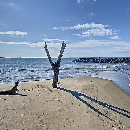 Maison Rayon Du Soleil Dans Privee Avec Piscine 度假居